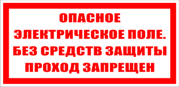 S13 опасное электрическое поле. без средств защиты проход запрещен (пластик, 200х100 мм) - Знаки безопасности - Знаки по электробезопасности - магазин "Охрана труда и Техника безопасности"